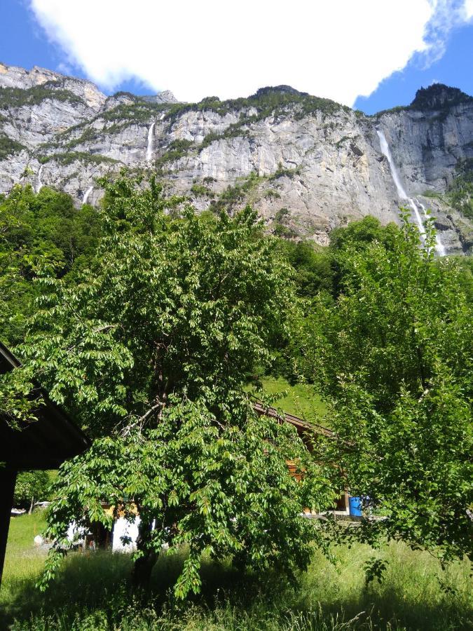 Ferien Cottage Flüehblüemli Stechelberg Dış mekan fotoğraf