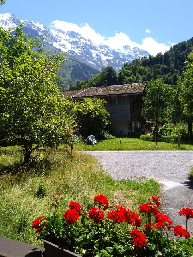 Ferien Cottage Flüehblüemli Stechelberg Dış mekan fotoğraf