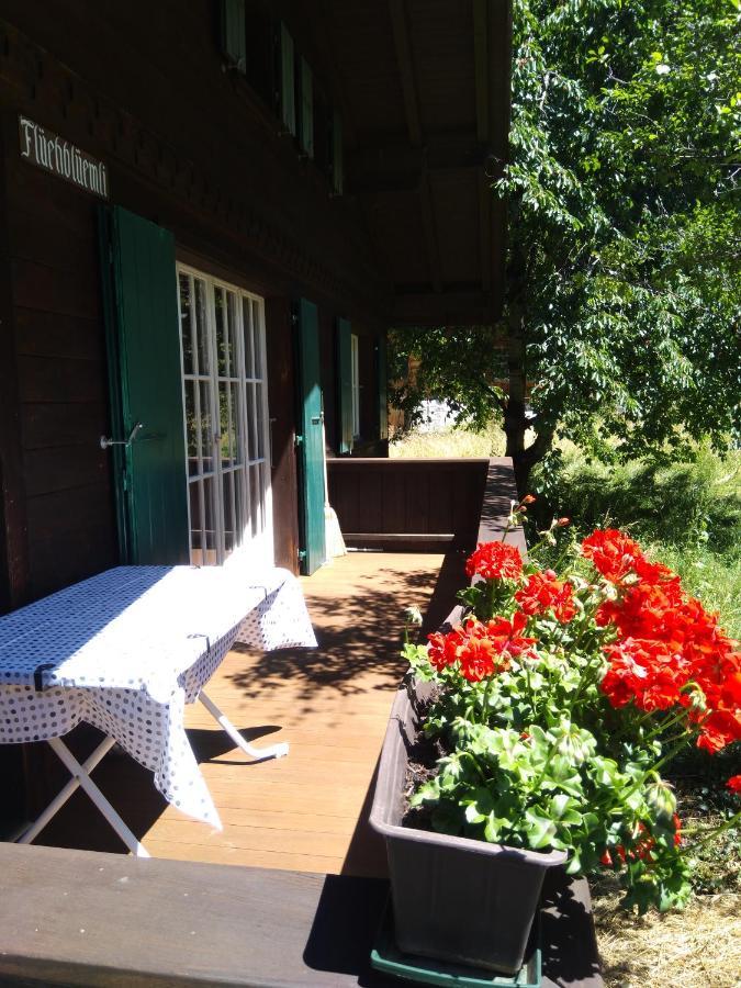 Ferien Cottage Flüehblüemli Stechelberg Dış mekan fotoğraf